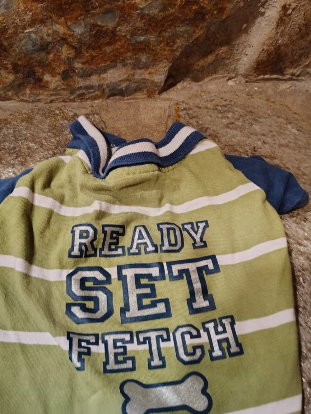Martha Stewart Pets Dog Polo Size Medium Ready Set Fetch